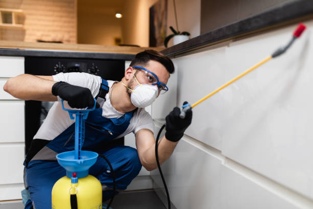 Best Affordable Pest Control Services  in Oak Leaf, TX