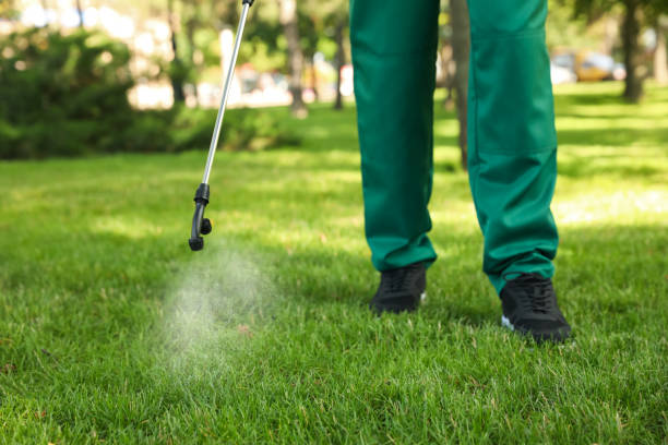 Best Bed Bug Extermination  in Oak Leaf, TX