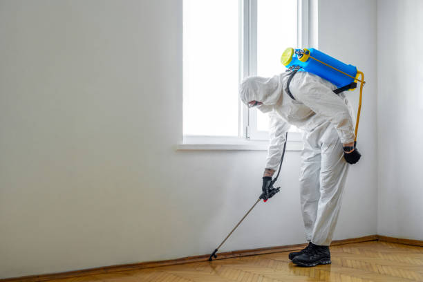 Professional Pest Control in Oak Leaf, TX